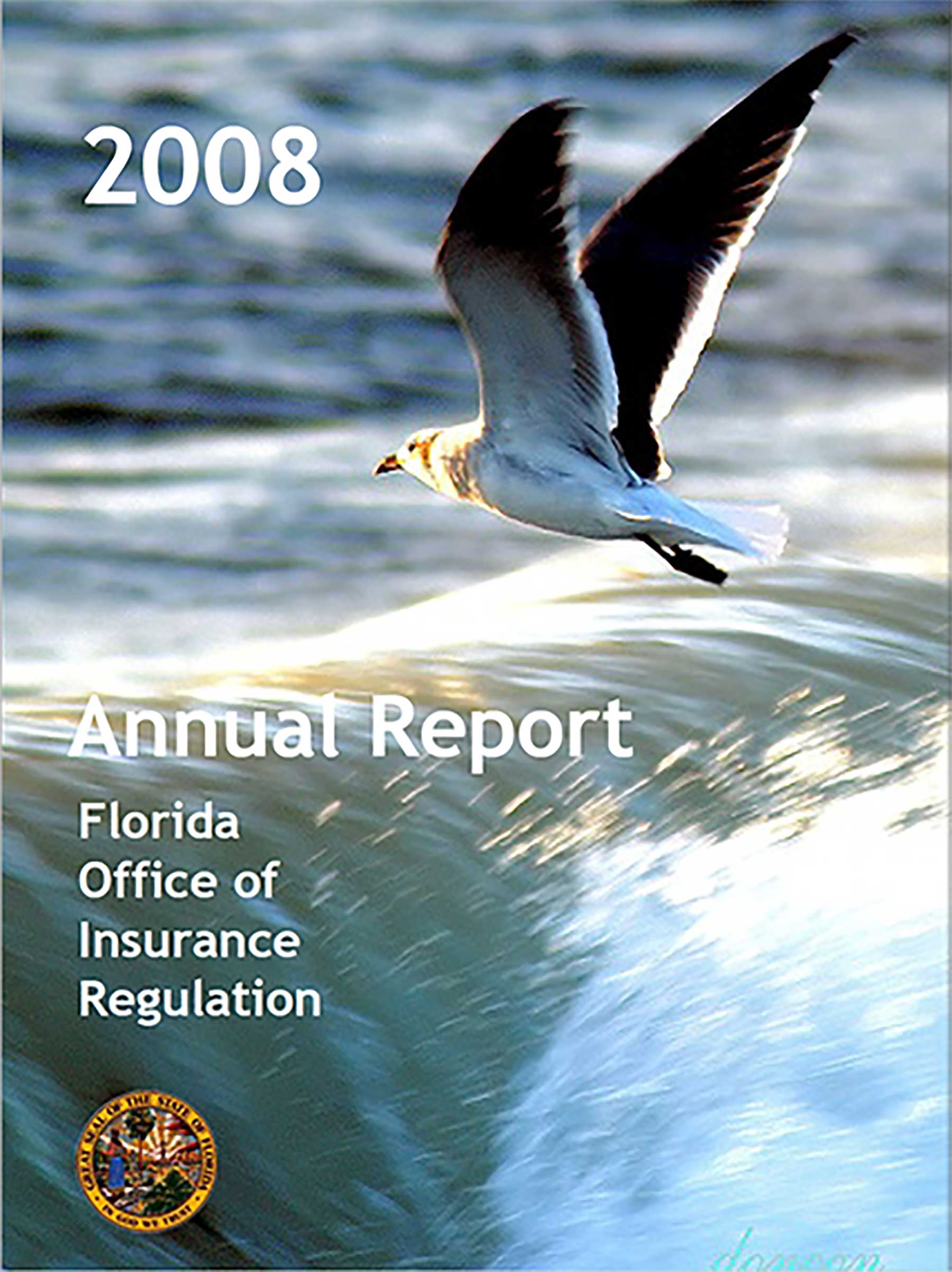 2008AnnualReport_Page_01